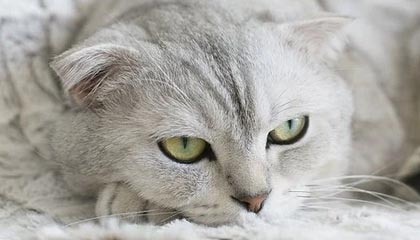 以太坊账户密码忘了 以太坊账号密码都忘了